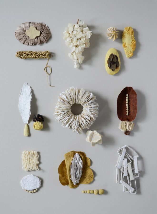 Varied surfaces and forms objects created from materials made from biowaste on a grey background.